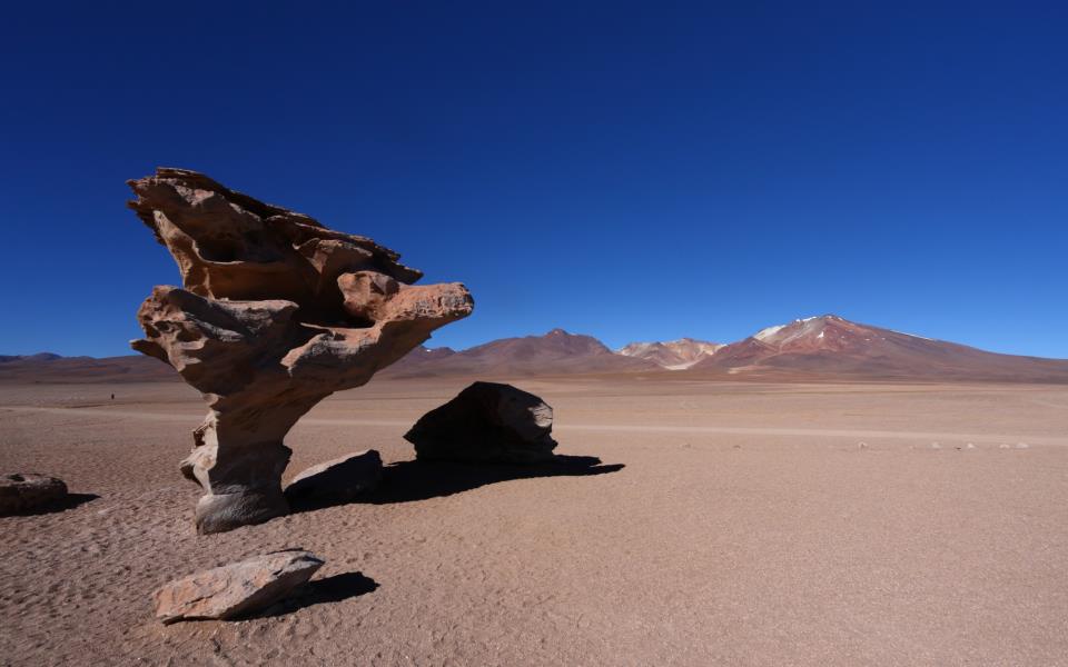Tree Rock in the Uyuni desert, Bolivia